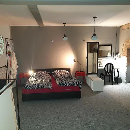 公寓 Loft Factory Design 扎维尔切