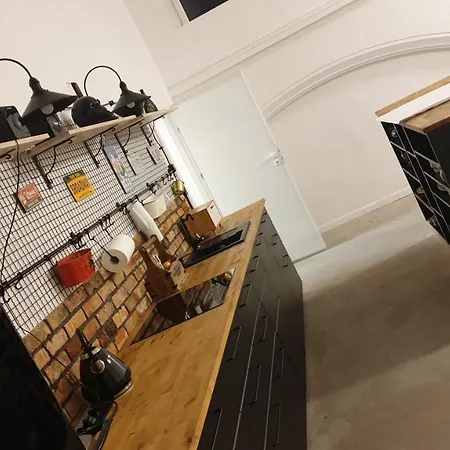 Loft Factory Design 扎维尔切